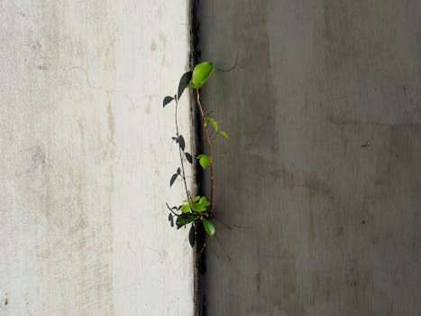  增高机构黑幕重重：虚假科技包装下隐藏的欺诈链条；权威声音揭示真相。 健康养生