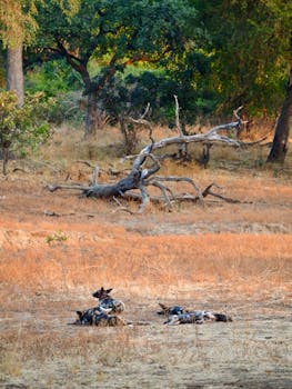  境外子公司遭遇破产宣告，赞宇科技质疑申请方身份；上诉程序启动，刑事报案同步跟进。 股票财经