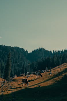  证监会召开全面从严治党工作会议，坚定清除资本市场改革障碍。 股票财经