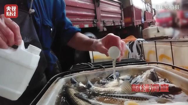  隐秘的鱼类休眠术曝光；工业酒精混入，食品安全警钟长鸣。 健康养生