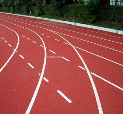  国际田径精英汇聚厦门；钻石联赛首批参赛选手亮相；本土力量蓄力挑战高手。 体育新闻 国际田径精英汇聚厦门；钻石联赛首批参赛选手亮相；本土力量蓄力挑战高手。 体育新闻