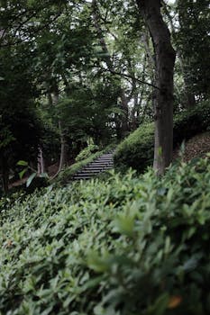 制造业转型悬念：ST松发重组后的战略版图解析 股票财经