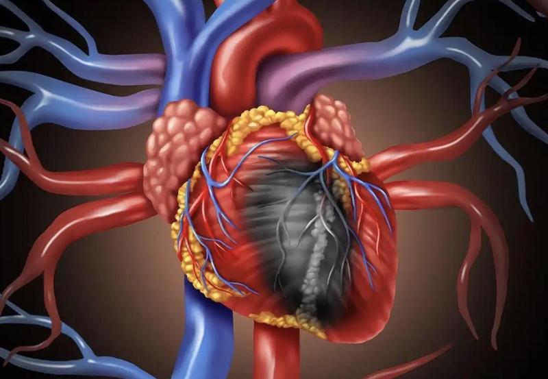  超导量子干涉器件：心磁探测效率与临床应用的数据回溯 企业服务