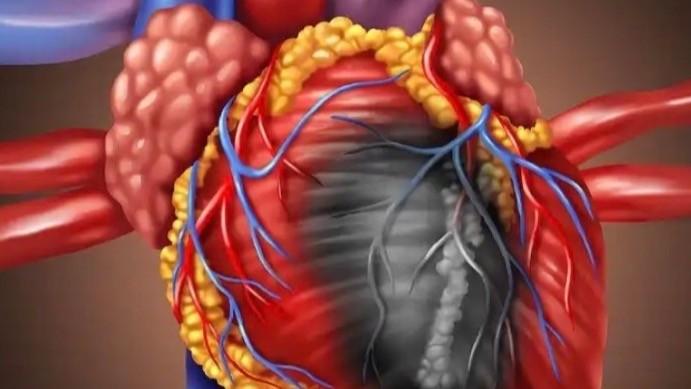  超导量子干涉器件：心磁探测效率与临床应用的数据回溯 企业服务