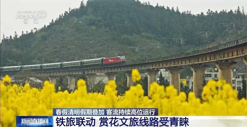  现代通勤群体：清明长假下的深度出行与人文重构 情感心理