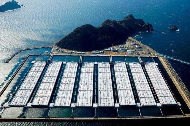  俄日能源博弈深层逻辑：结构性依赖与政策选择的碰撞 新闻