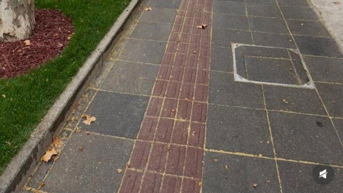  【技术解码】春季飞絮与过敏原：一份来自免疫学视角的深度剖析 健康养生