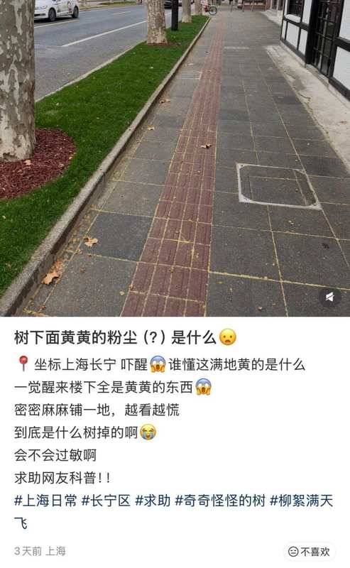  【技术解码】春季飞絮与过敏原：一份来自免疫学视角的深度剖析 健康养生