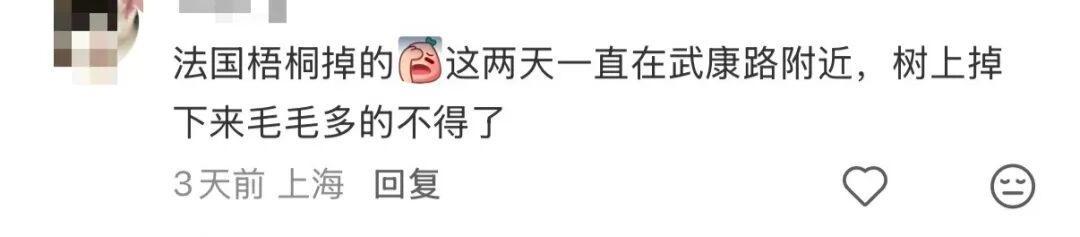  【技术解码】春季飞絮与过敏原：一份来自免疫学视角的深度剖析 健康养生