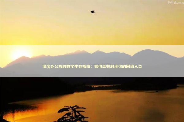 深度办公族的数字生存指南：如何高效利用你的网络入口 IT技术