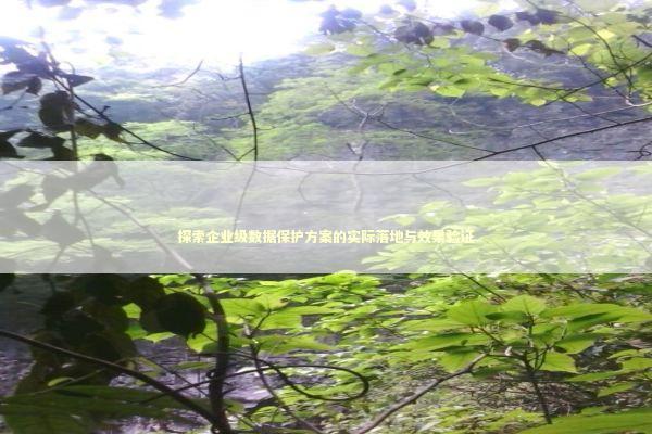 探索企业级数据保护方案的实际落地与效果验证 IT技术