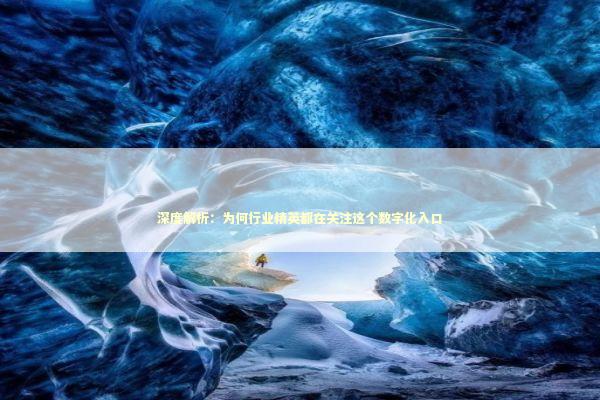 深度解析：为何行业精英都在关注这个数字化入口 IT技术