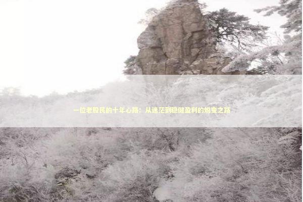 一位老股民的十年心路：从迷茫到稳健盈利的蜕变之路 股票财经