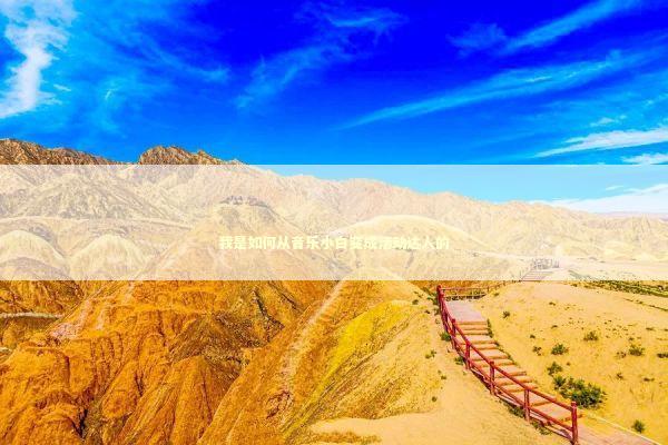 我是如何从音乐小白变成活动达人的 娱乐新闻