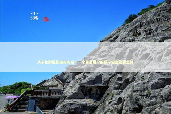 从手忙脚乱到游刃有余：一个普通用户的数字安全觉醒之路 IT技术