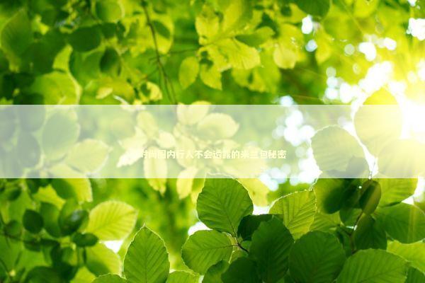 时尚圈内行人不会透露的米兰包秘密 时尚用品